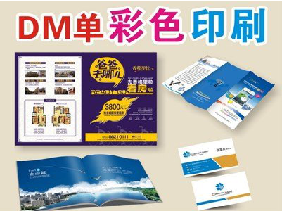 寻甸单页印刷，色彩搭配简单。